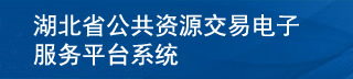 电子服务平台